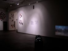 "Free Party: some examples of free artistic strategies", general view of the exhibition