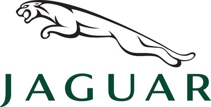 New jaguar logo 2 1