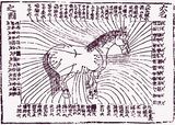 Copie de gravure acu equine