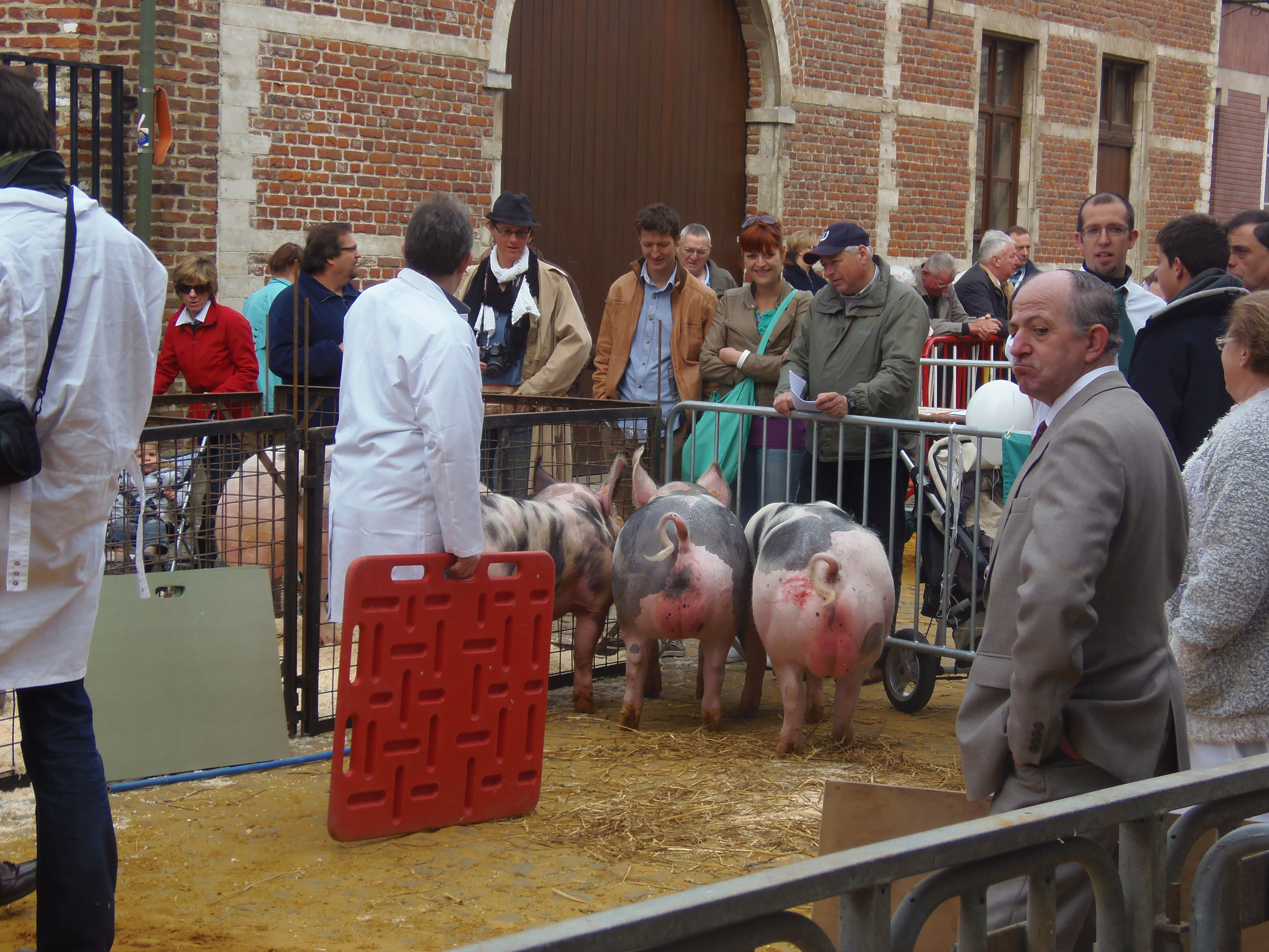 Mai 2012 midelburg 481