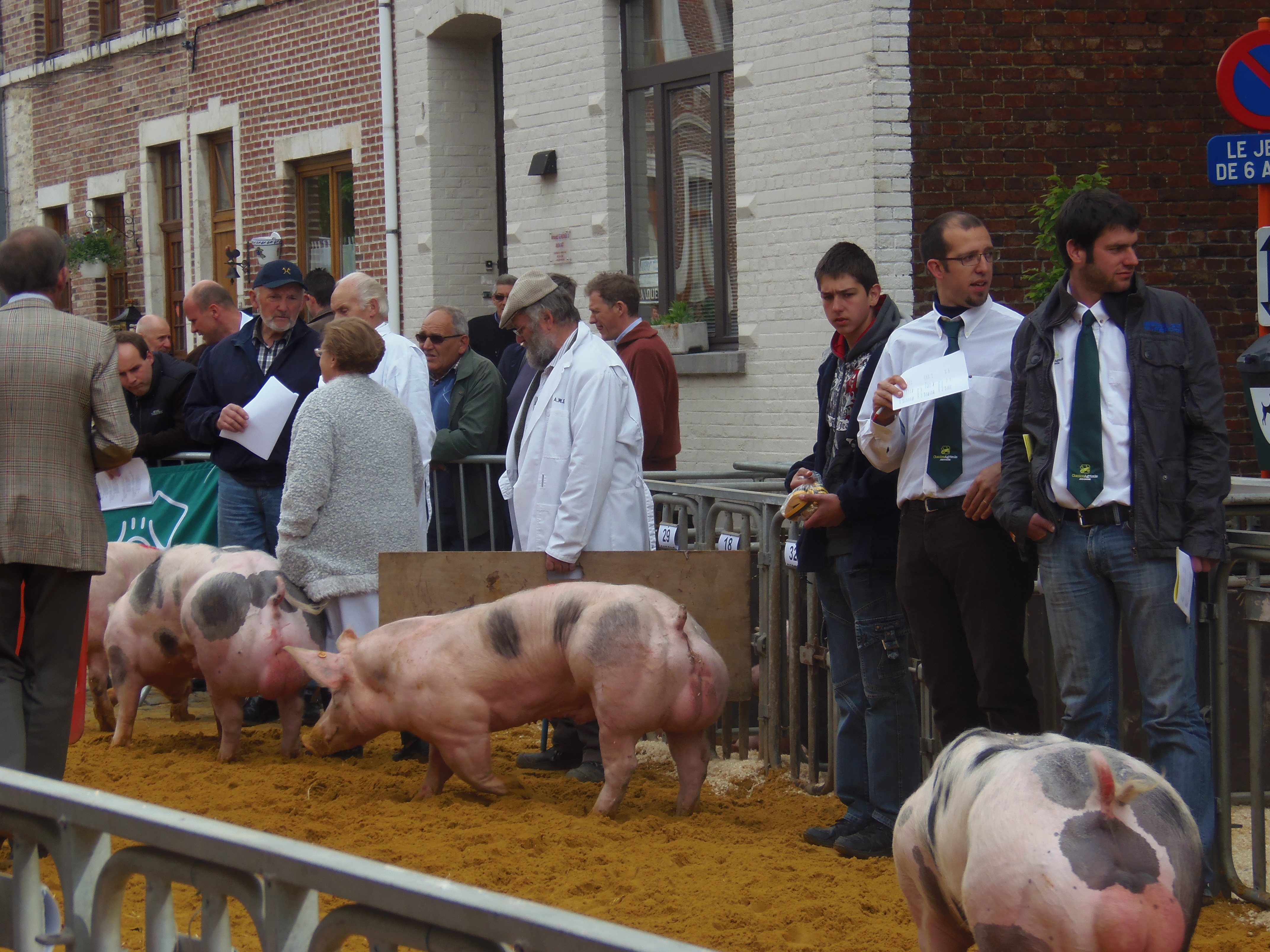 Mai 2012 midelburg 500