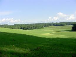 Plaine