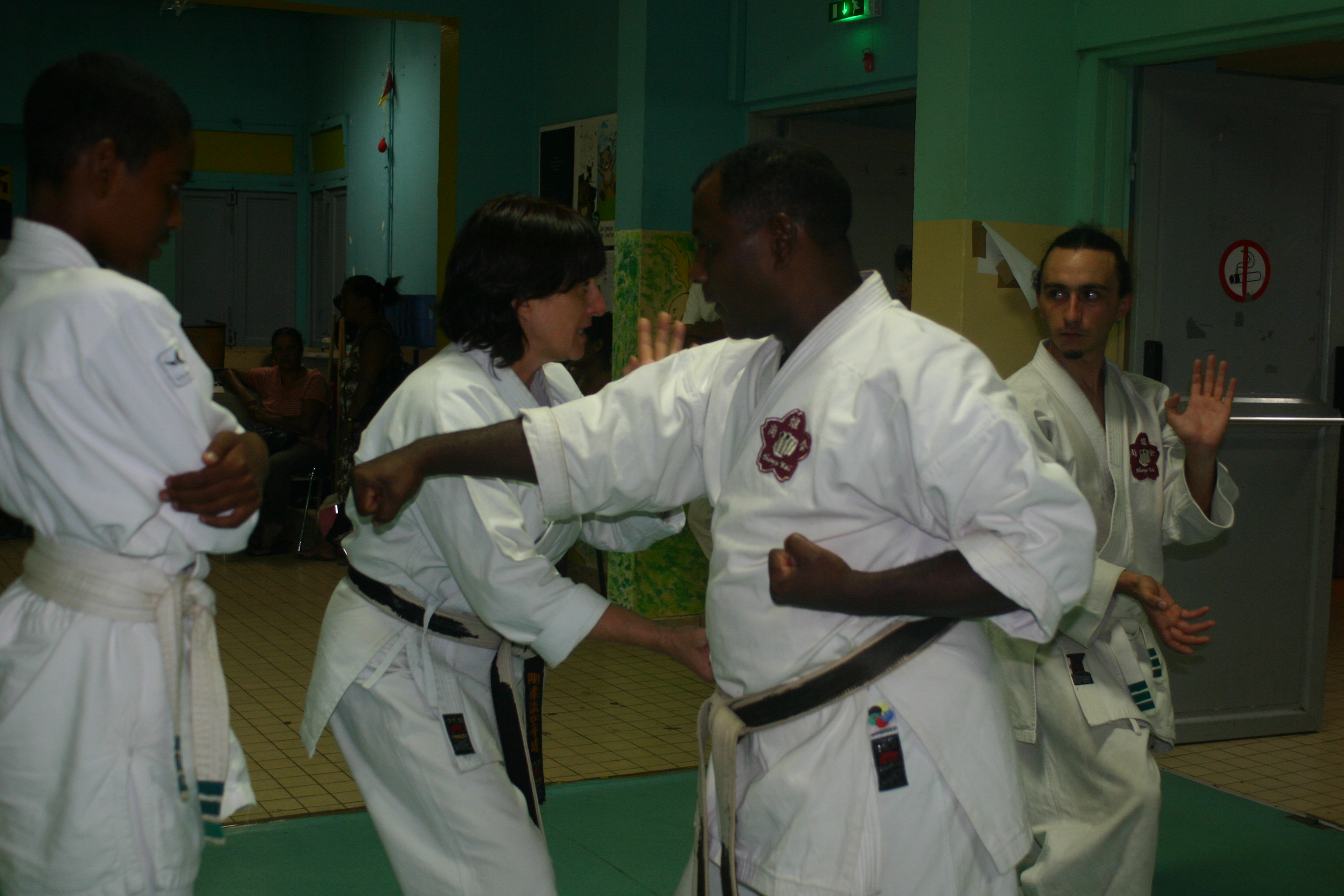 IMG 4950