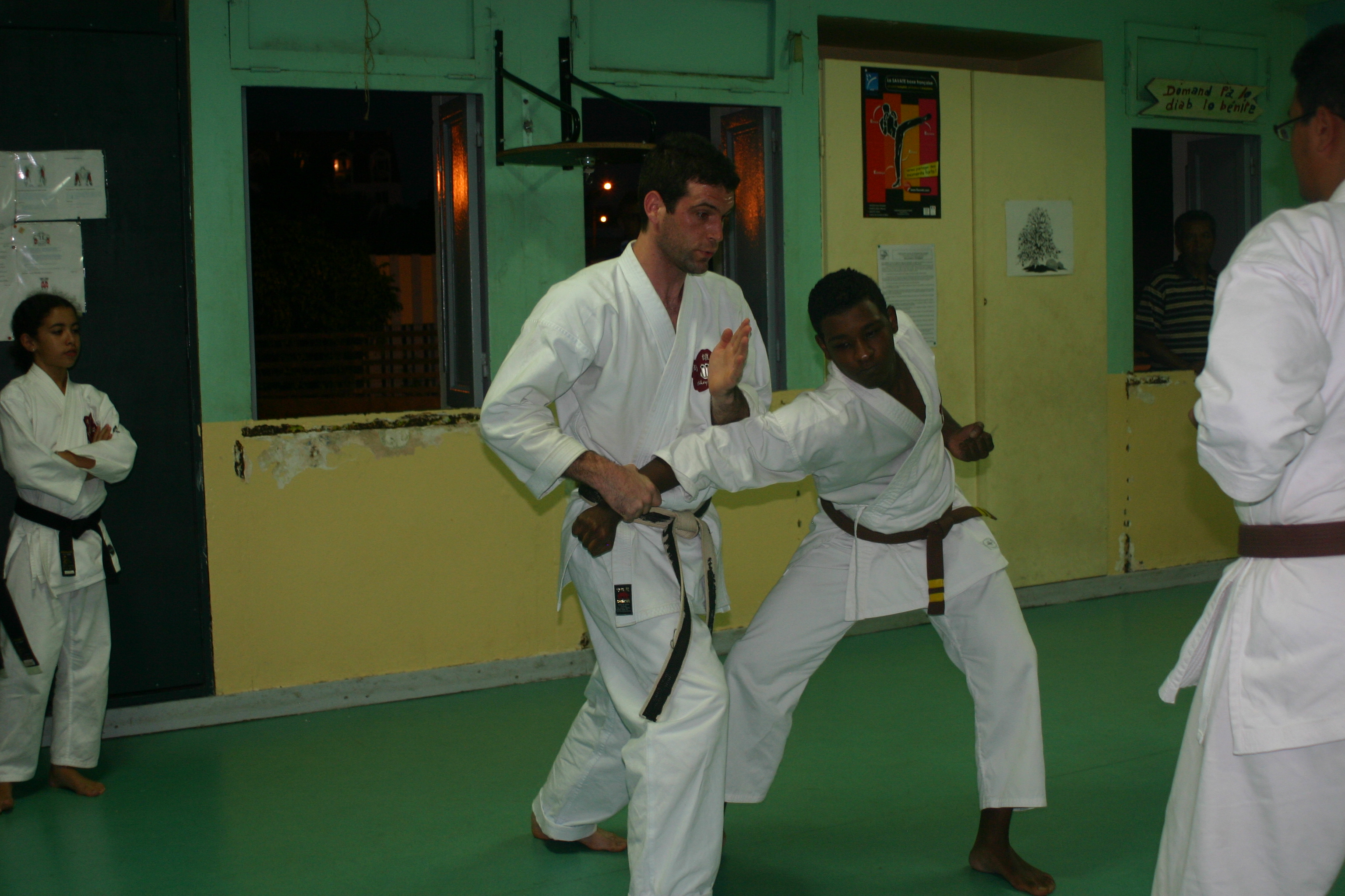 IMG 4972