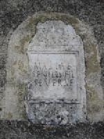 Stele