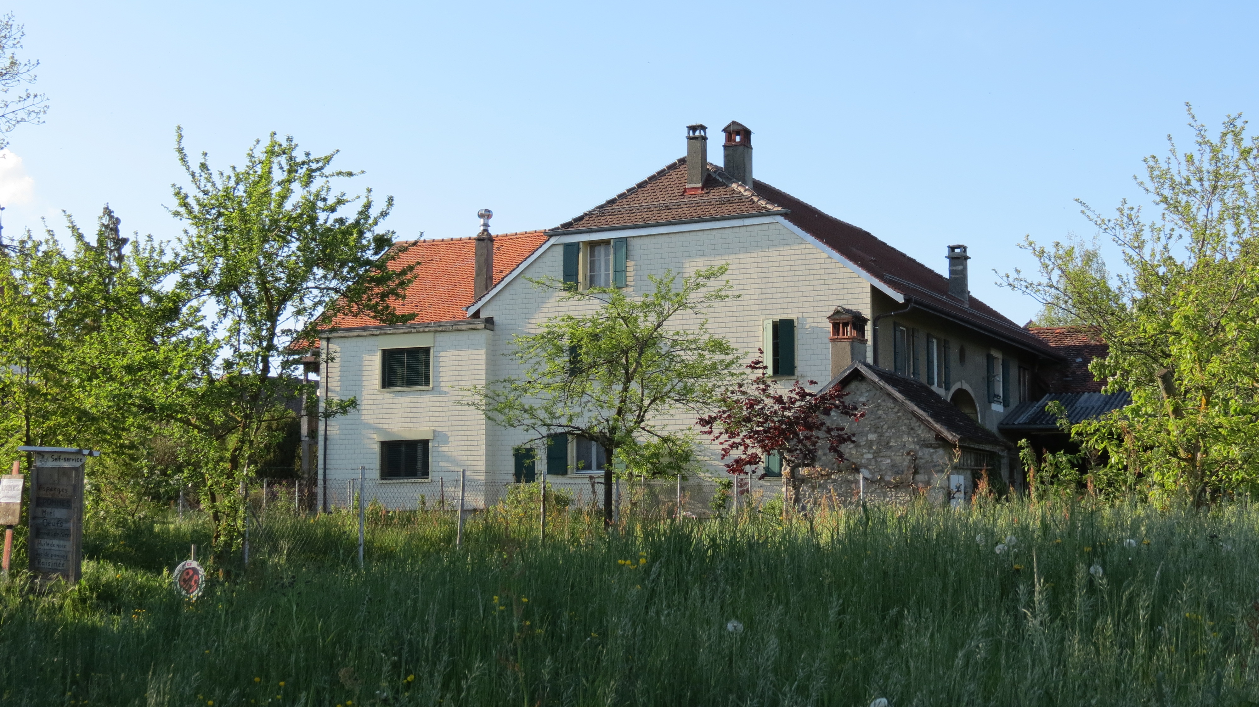 Img 0597