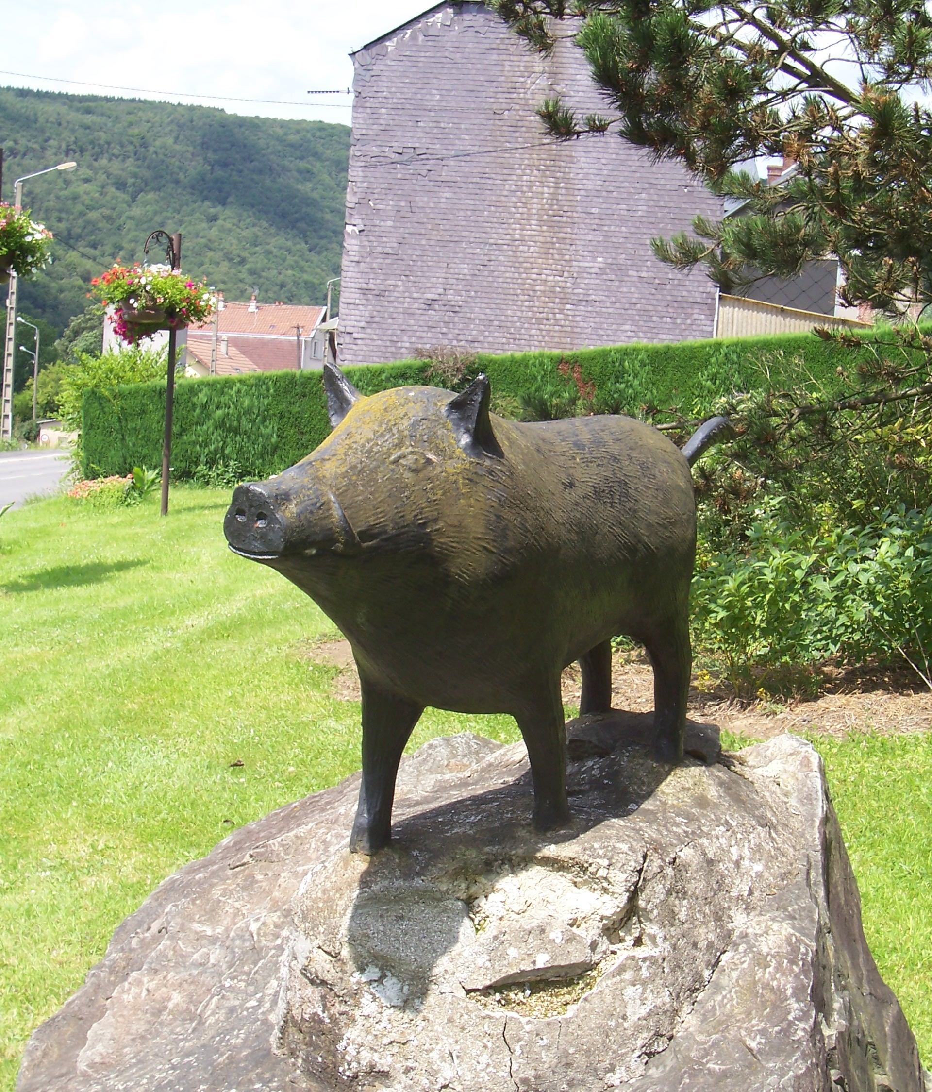 Sanglier haybes