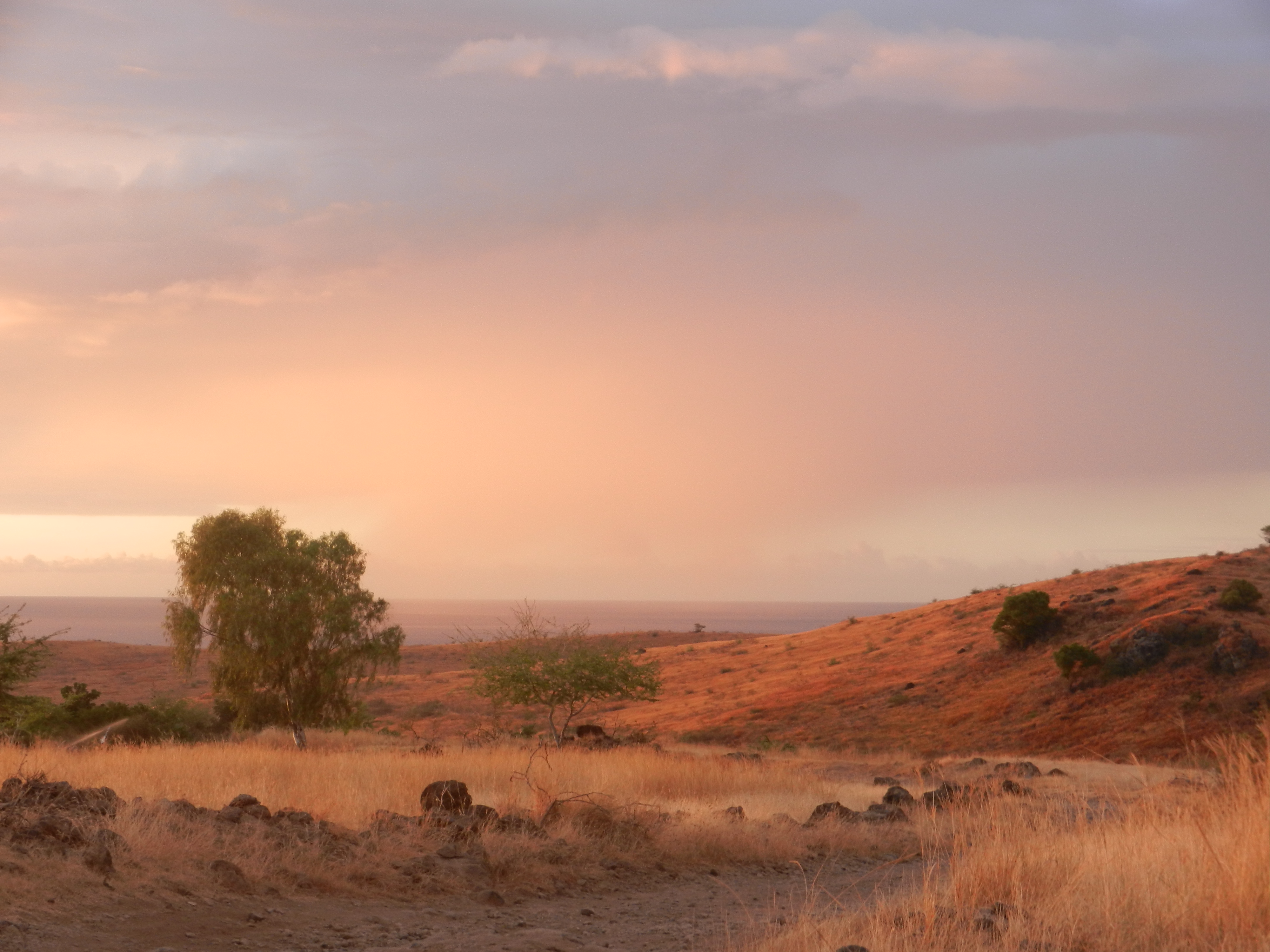 Paysage 2