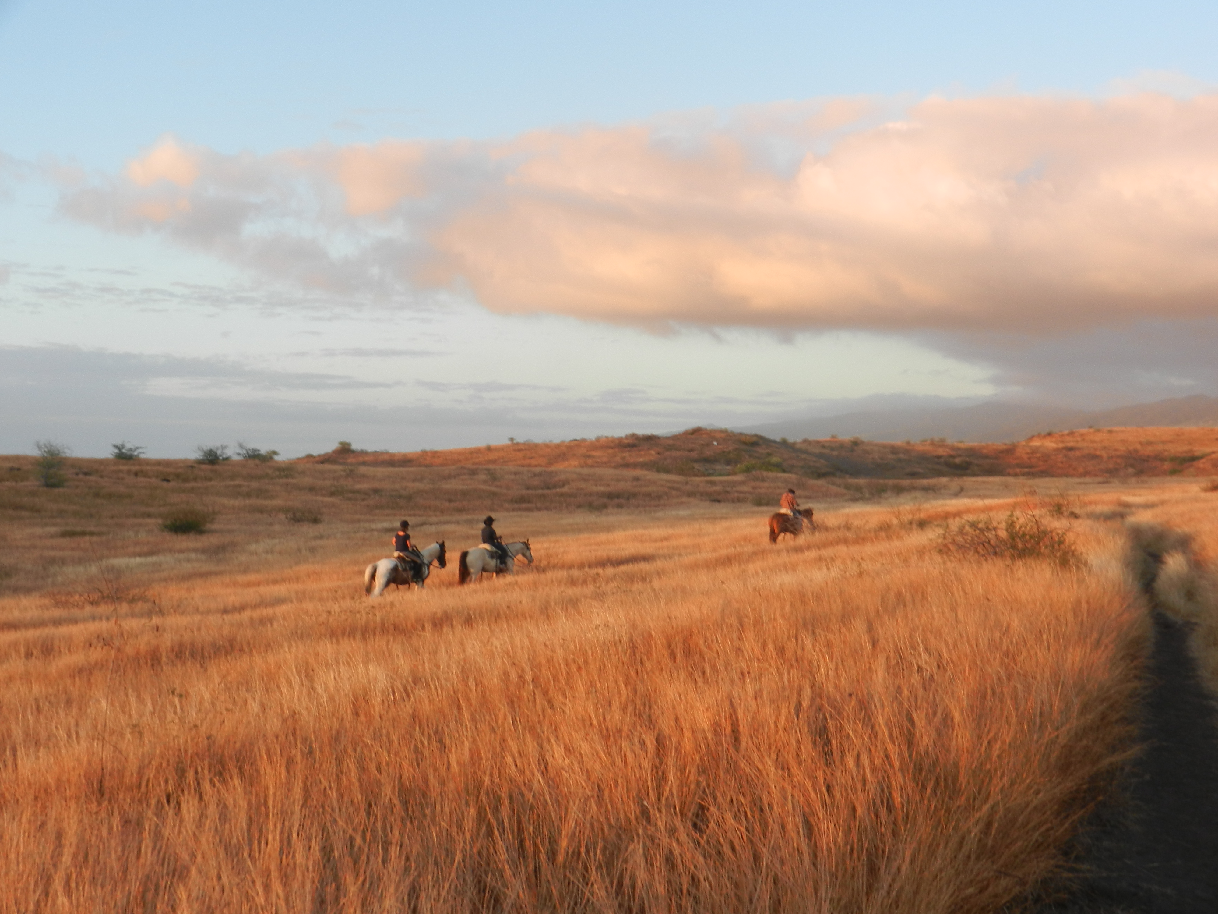 Paysage 6