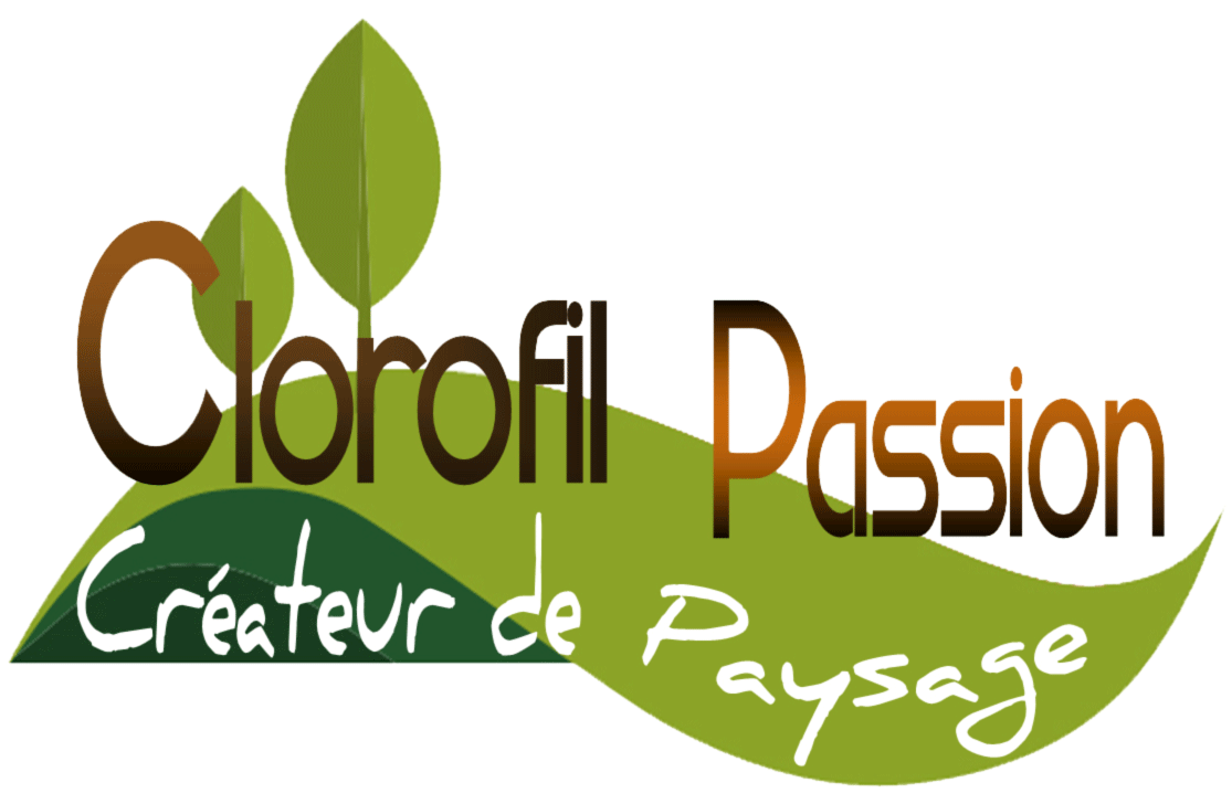 Clorofil passion transparen