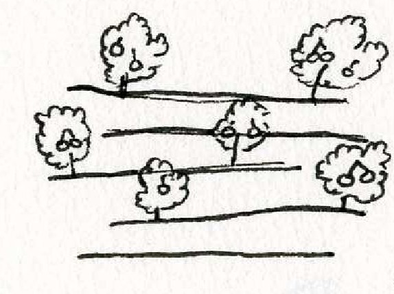 Plantation1