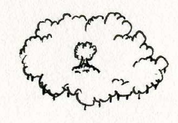 Foret9