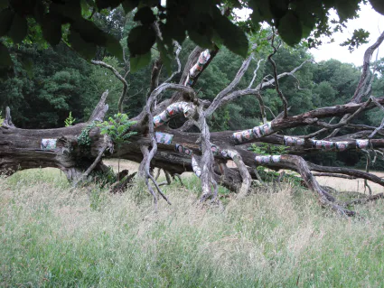 Chene de famille ensemble 1