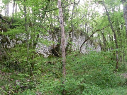 Les ruines du Castelas de Roquefort