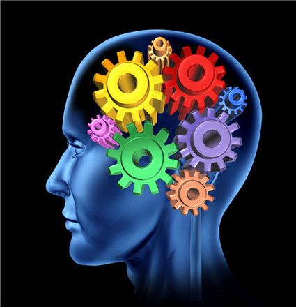 Intelligence brain function isolated
