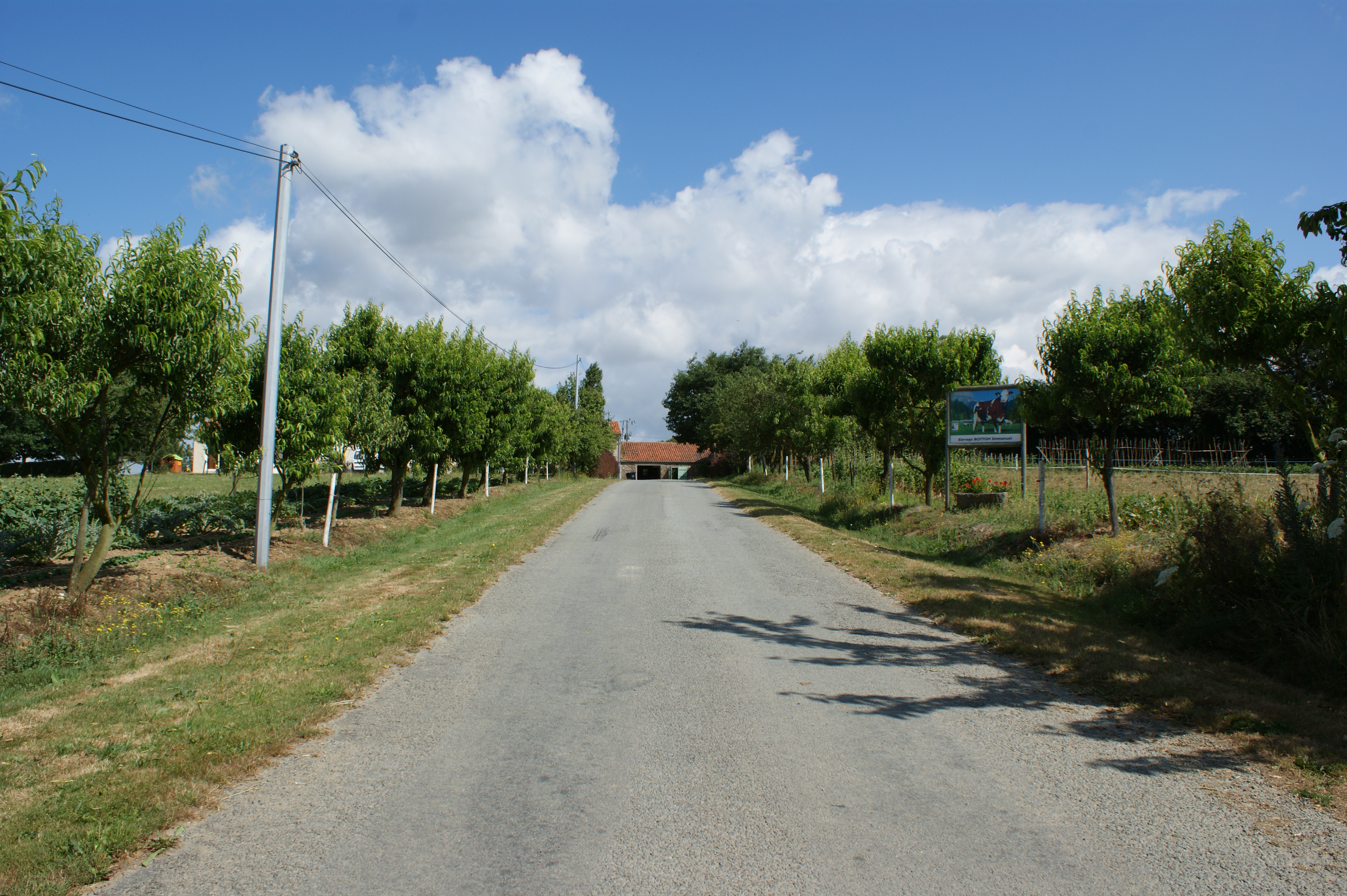 Dsc01091