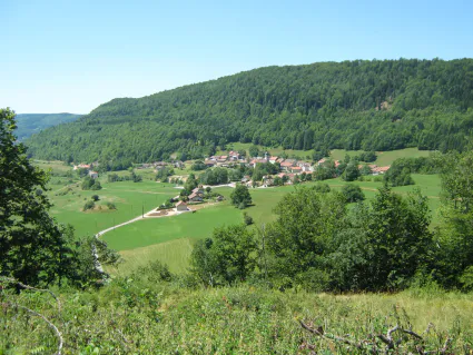 Train vtt adultes 7
