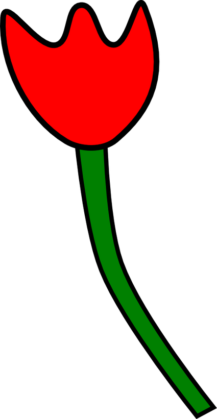 Tulipe