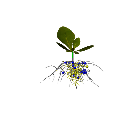 Petgi