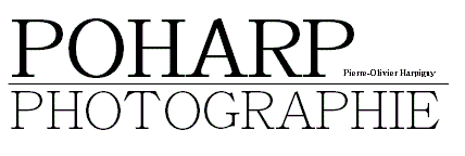 Logo poharp