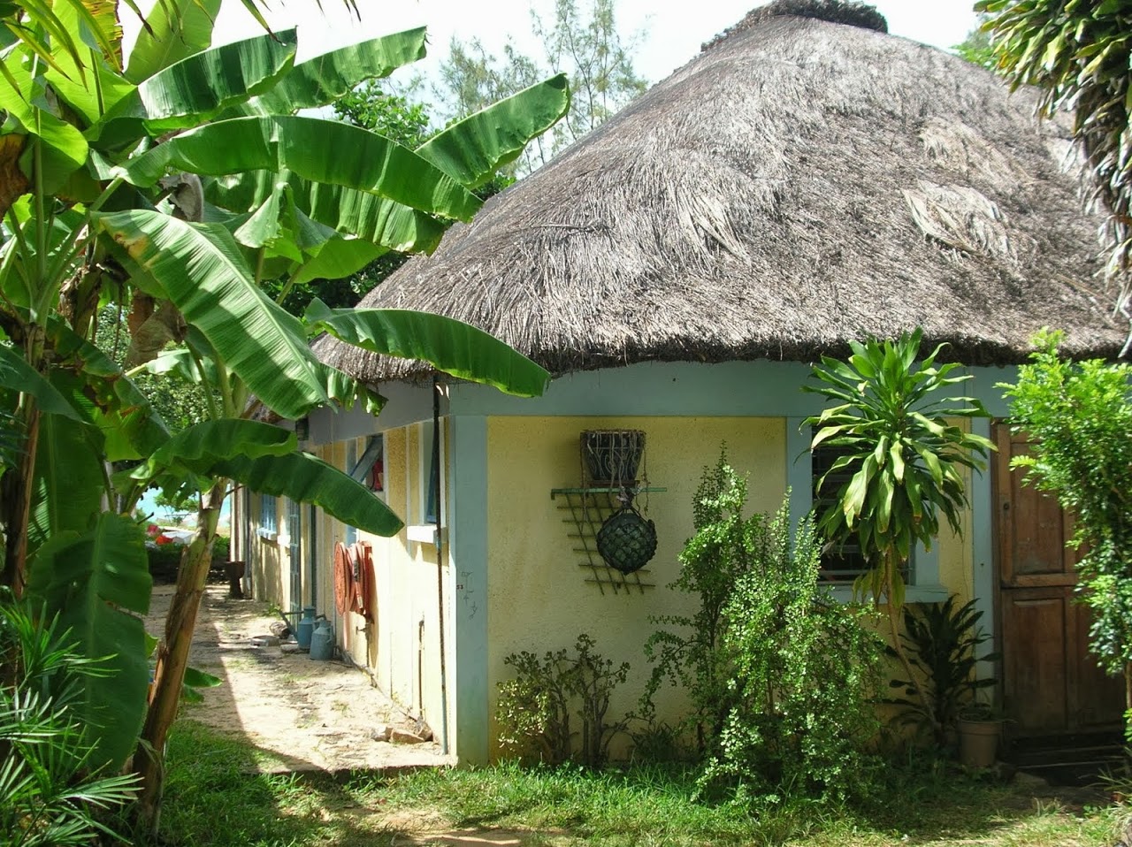 DSCN1700