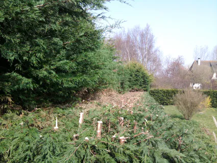 Photo0125