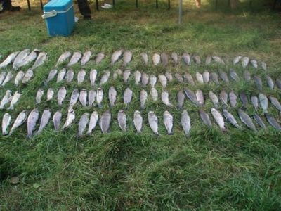 Prises des enfants de la journee