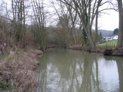 Partie au dessus du bief dans le bois