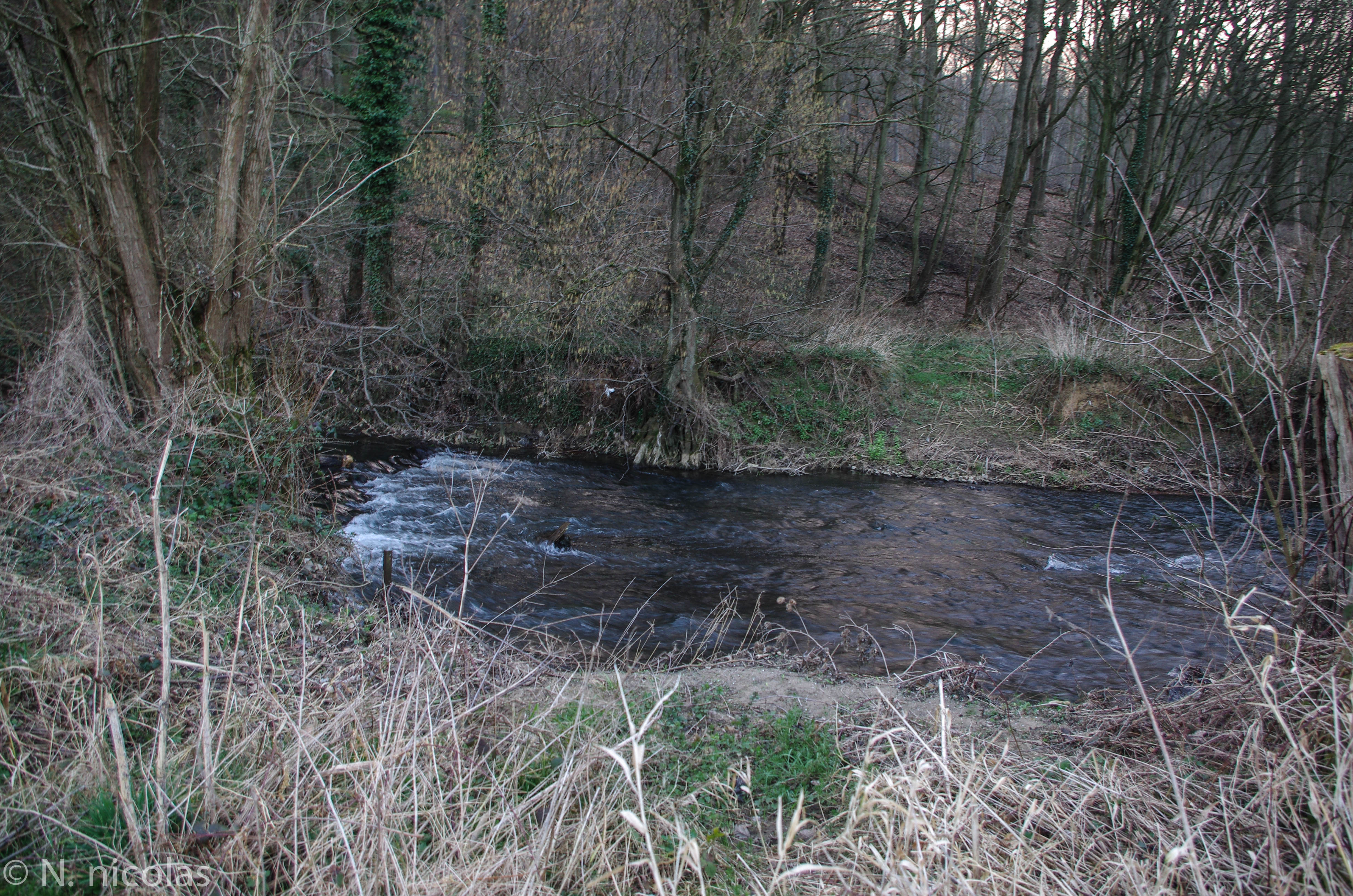 2014 03 13 jamioulx 1er deversement 9