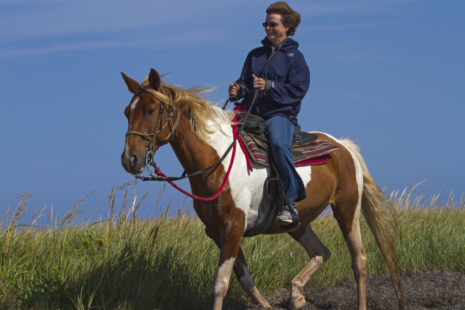 Equitation Iles de la madeleine Aila