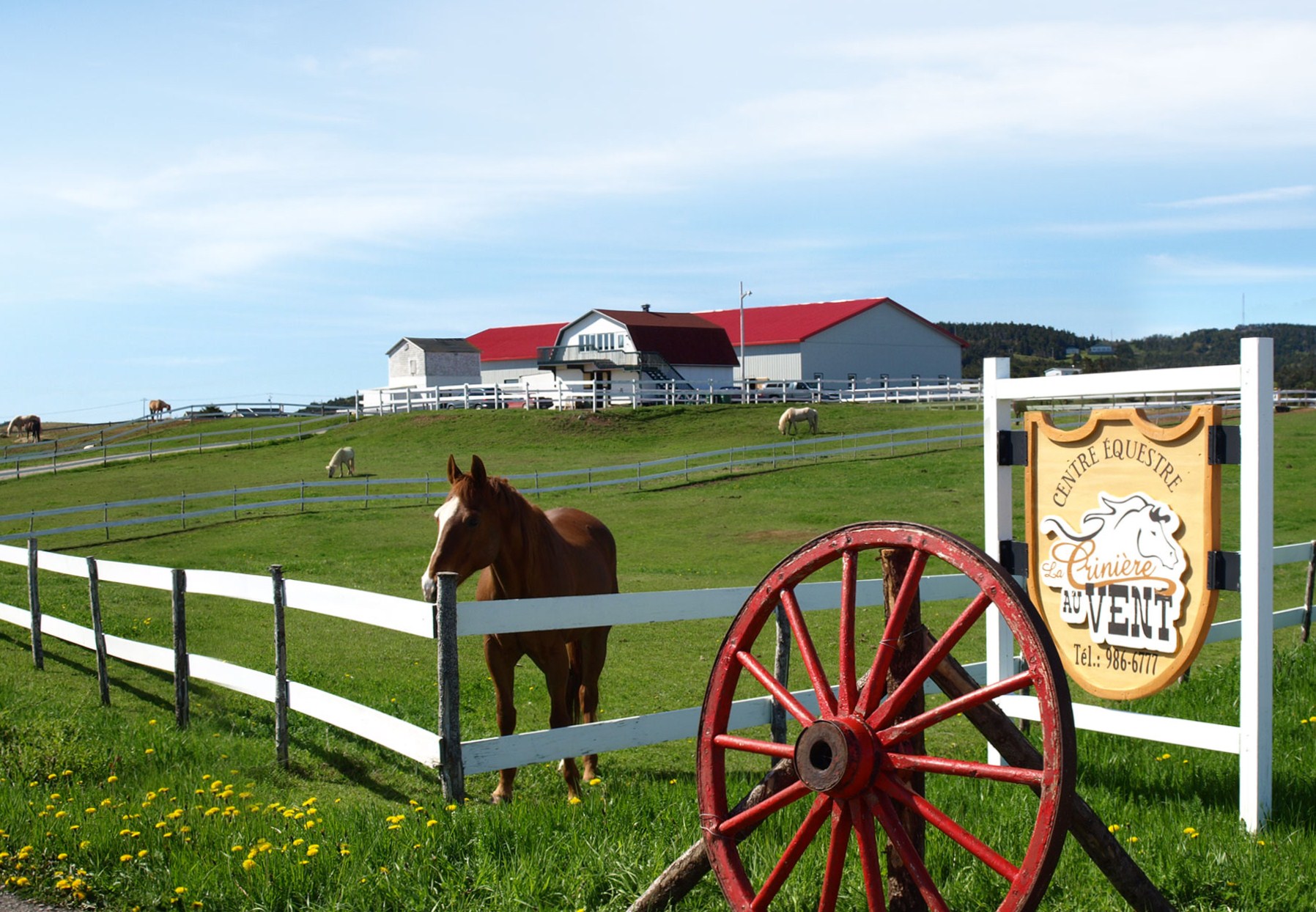 La Criniere au vent Iles de la madeleine
