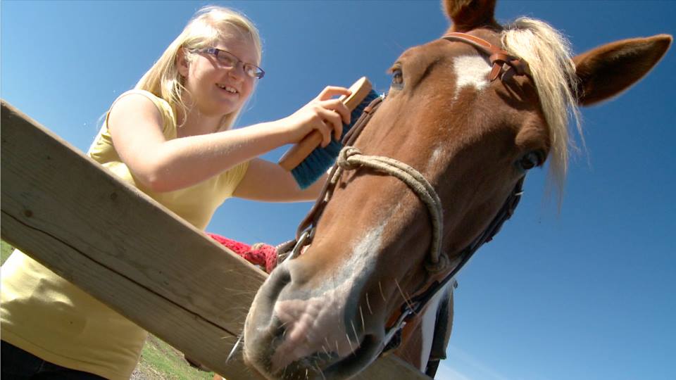 Iles de la madeleine equitation amour des chevaux