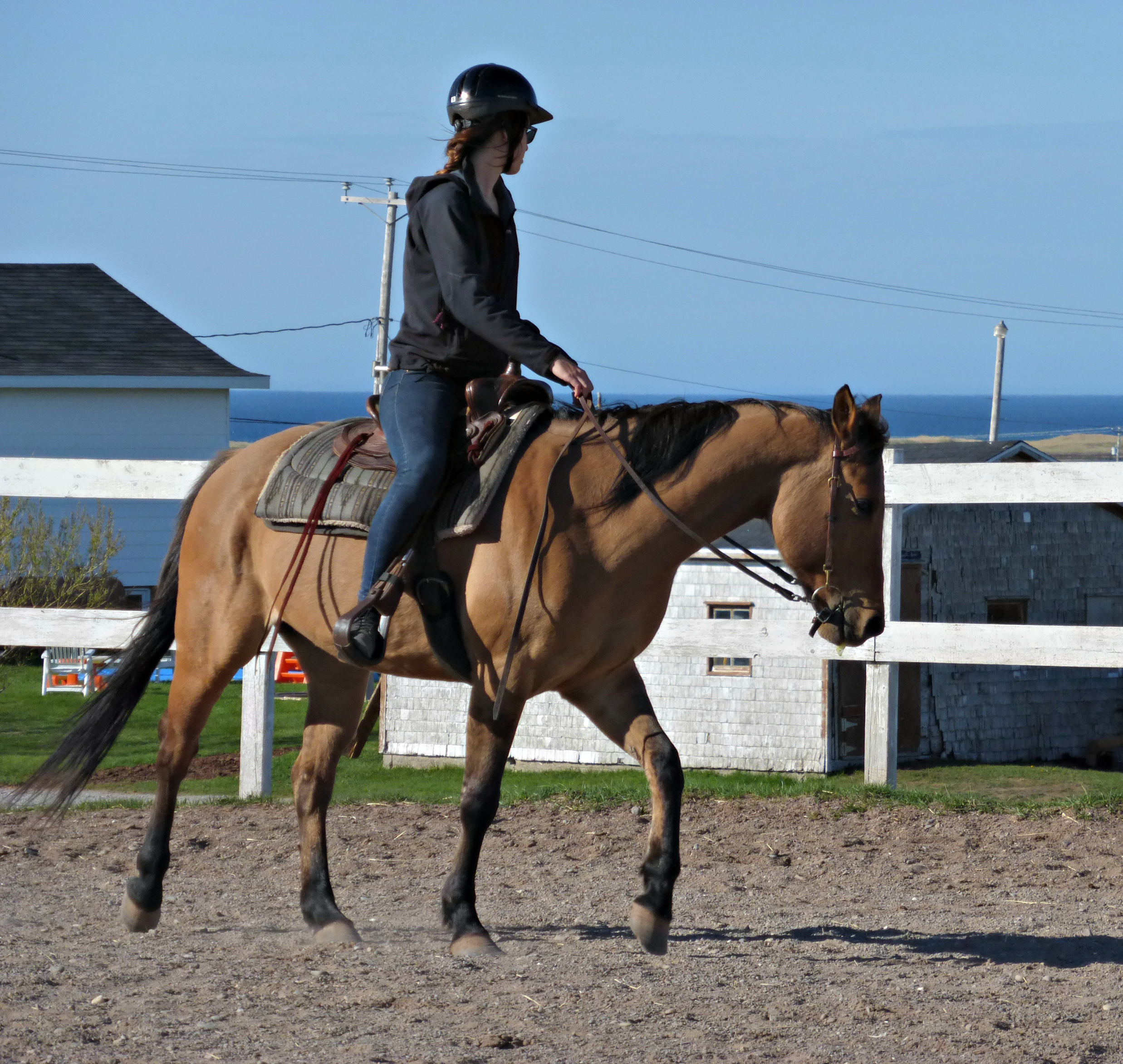 Madonne equitation Iles de la Madeleine