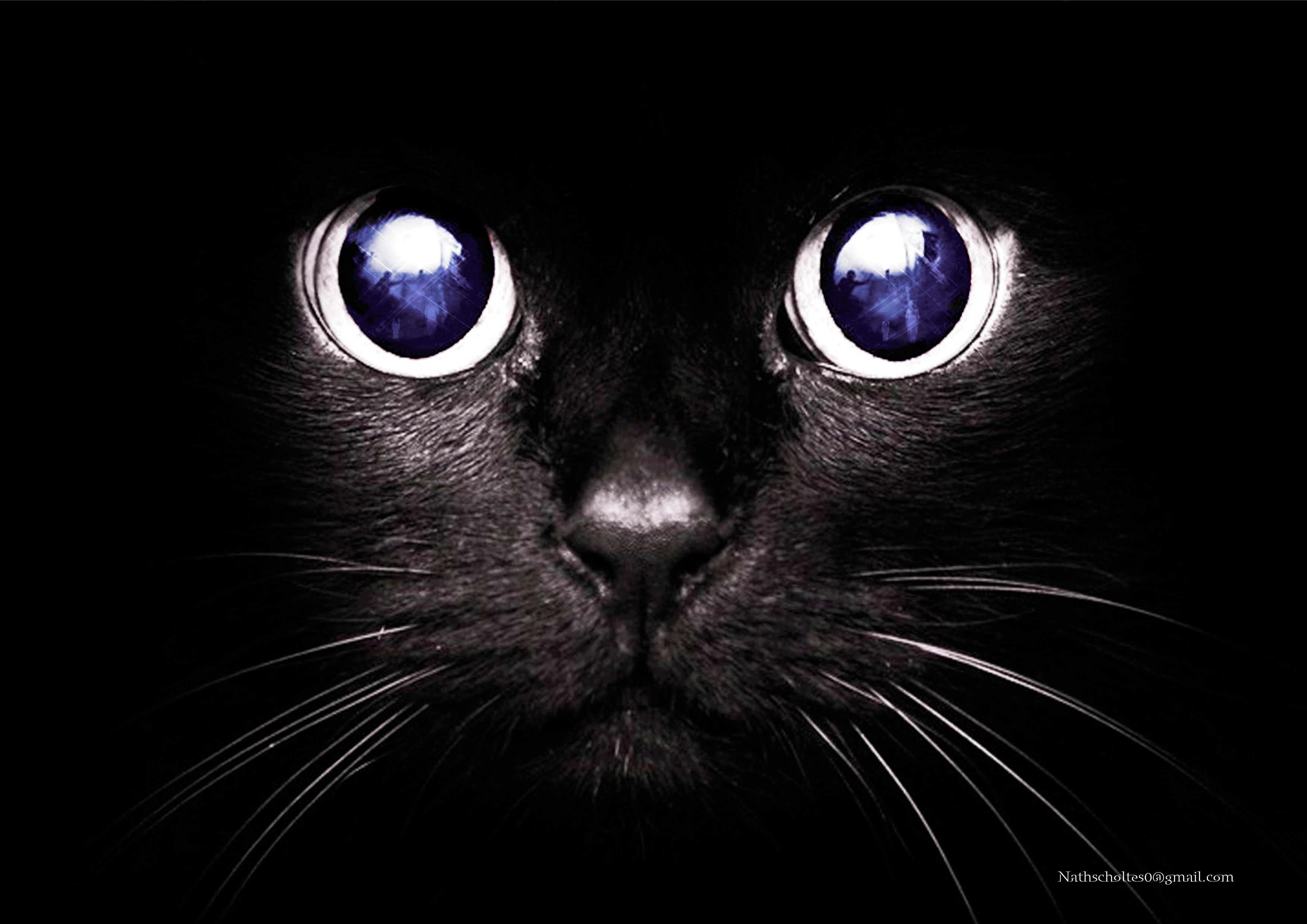Regardchat2