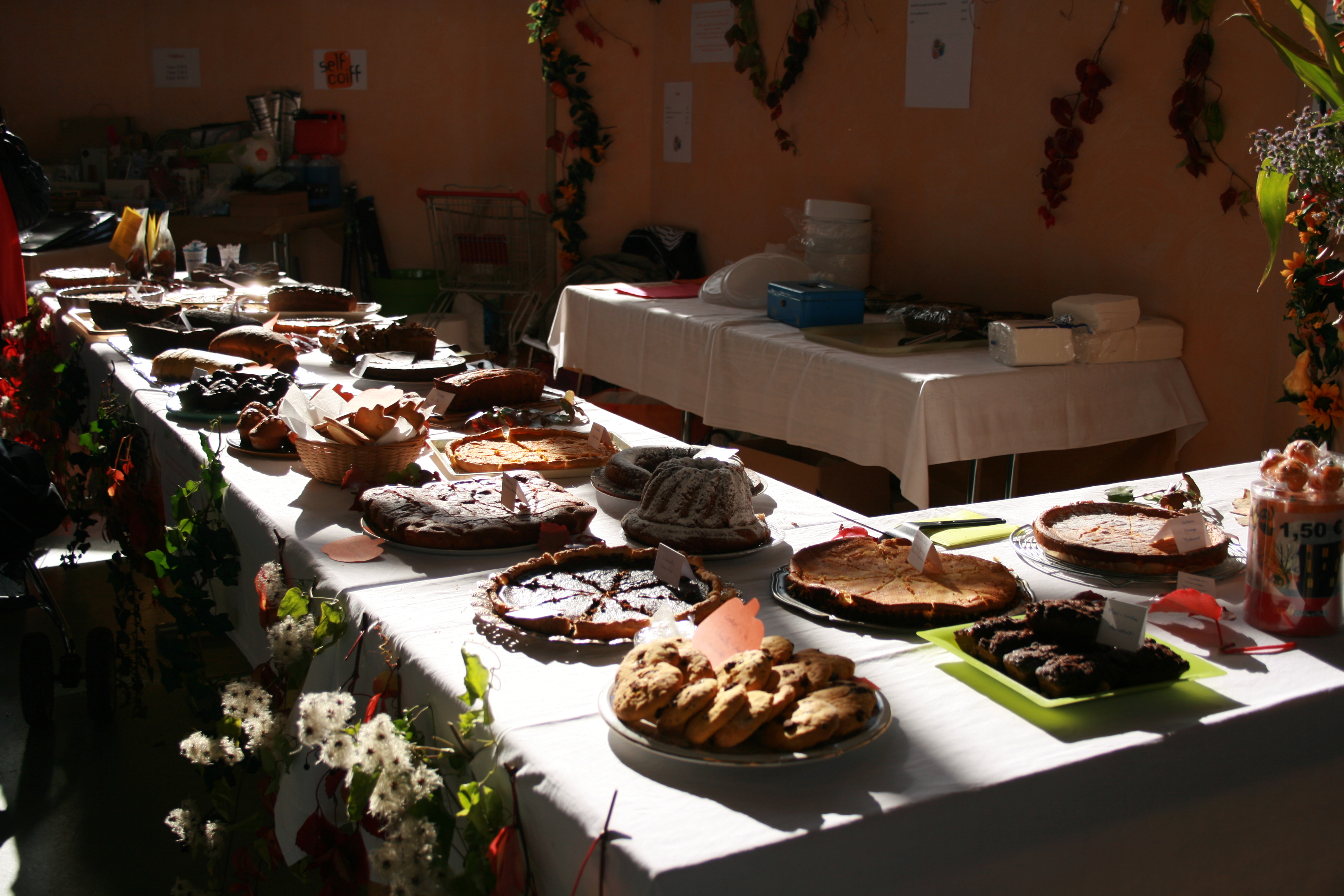 Citr 2013 003