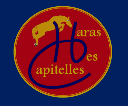 Logo capture