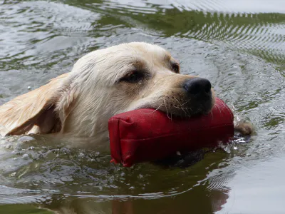 14765197732 ecba6ff732 o 1