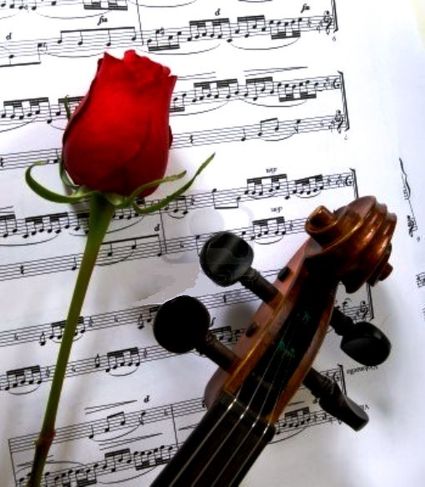 Un violon une rose 