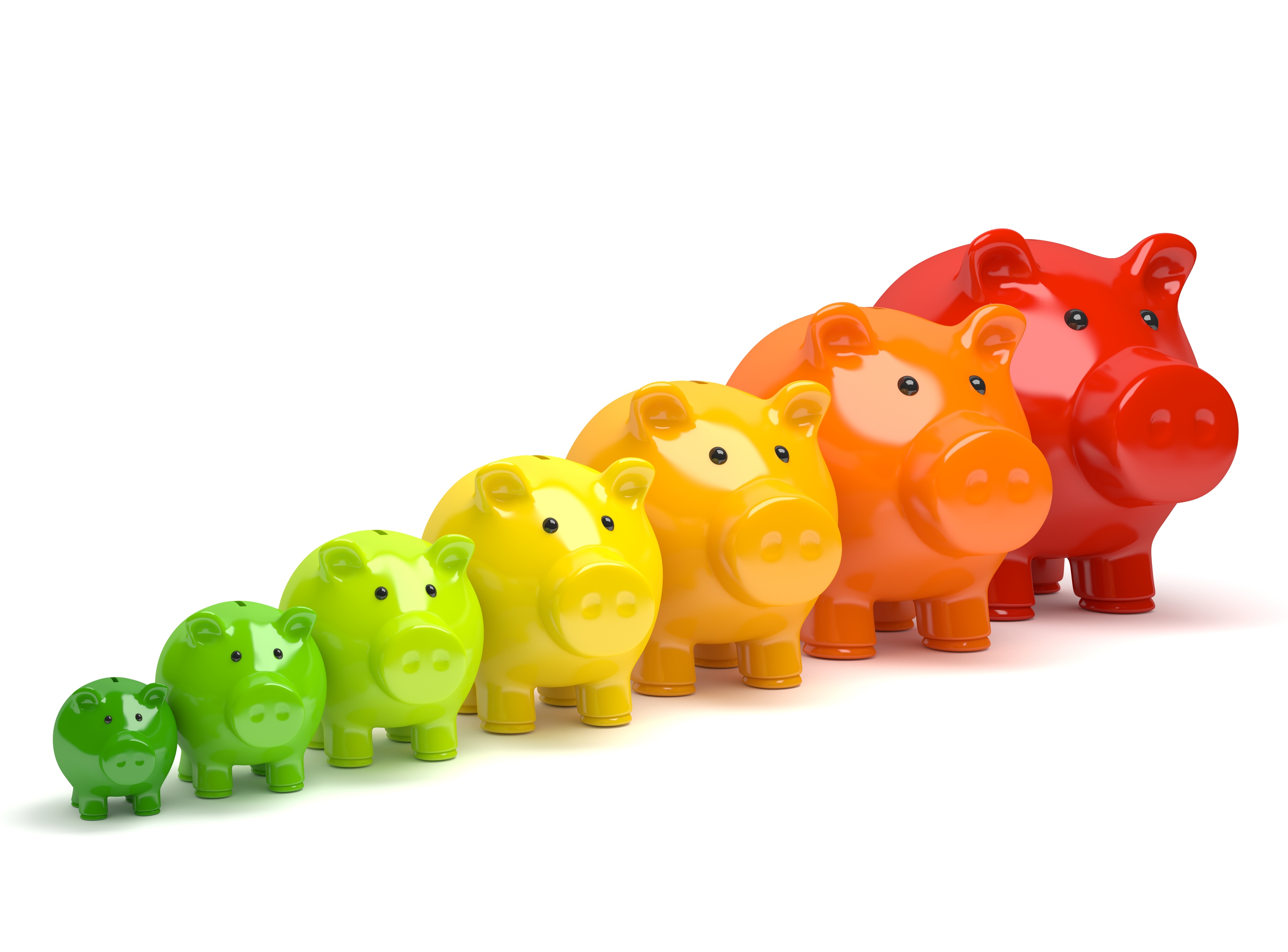 Audit cochons