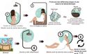 protocole des différentes étapes d'une séance de balnéothérapie 