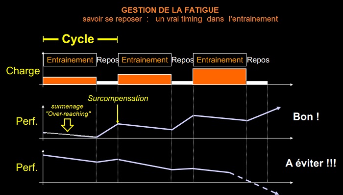 La récupération fait partie intégrante de l’entraînement. Elle est un élément incontournable.
Elle doit être prévue, planifiée dans toutes les phases et les étapes de la programmation.
