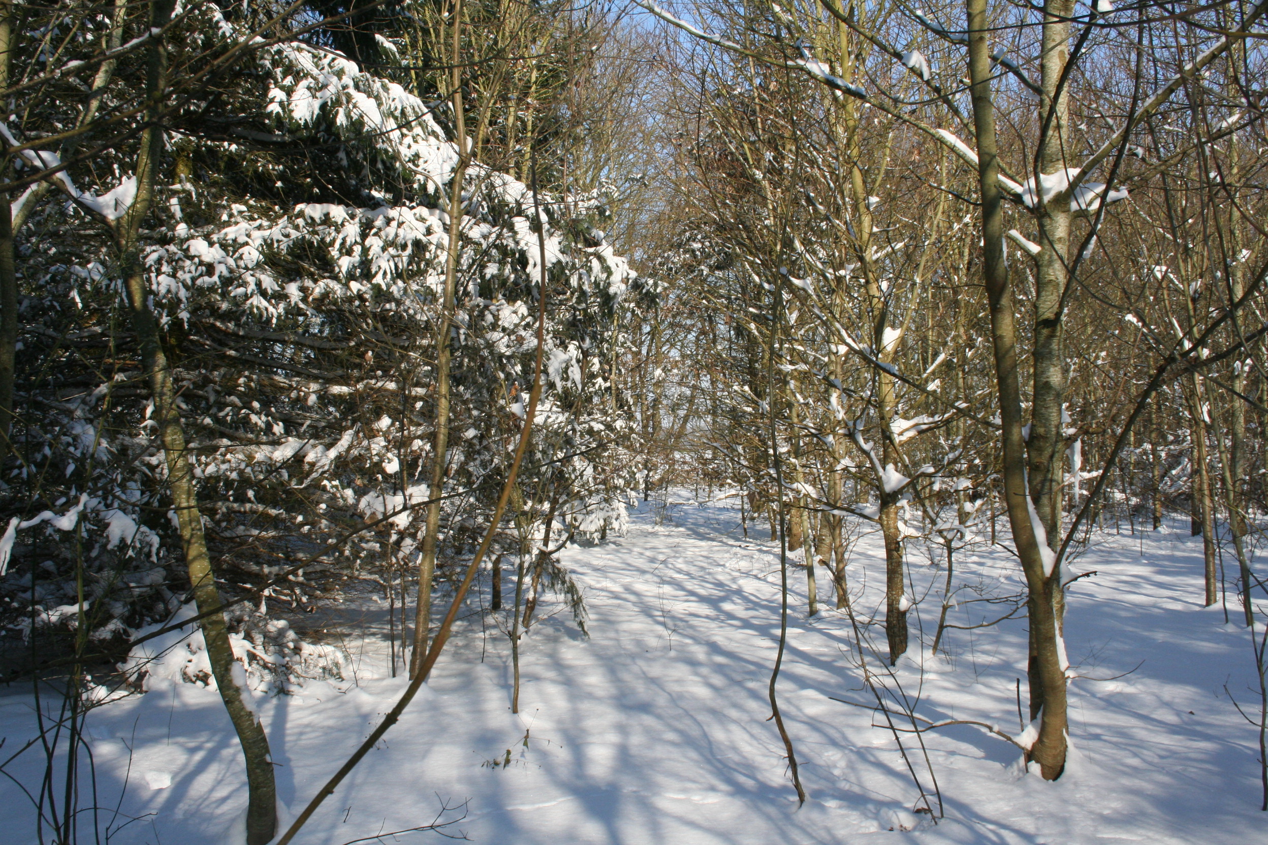 Duquerie neige 020