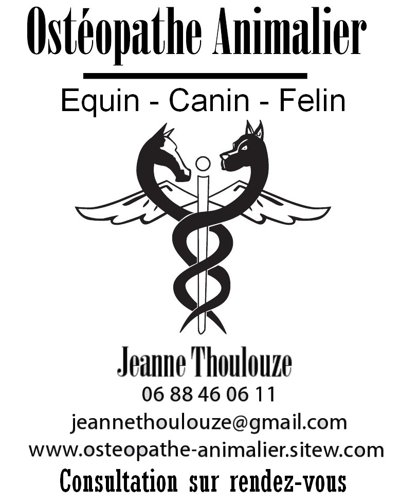 Jeanne thoulouze osteopathe animal