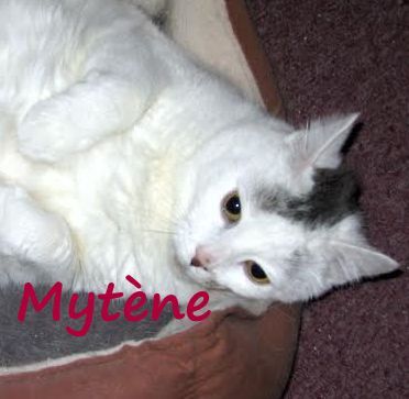 Mytene2