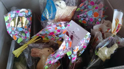 11115958 10203916706694139 1796712811 n