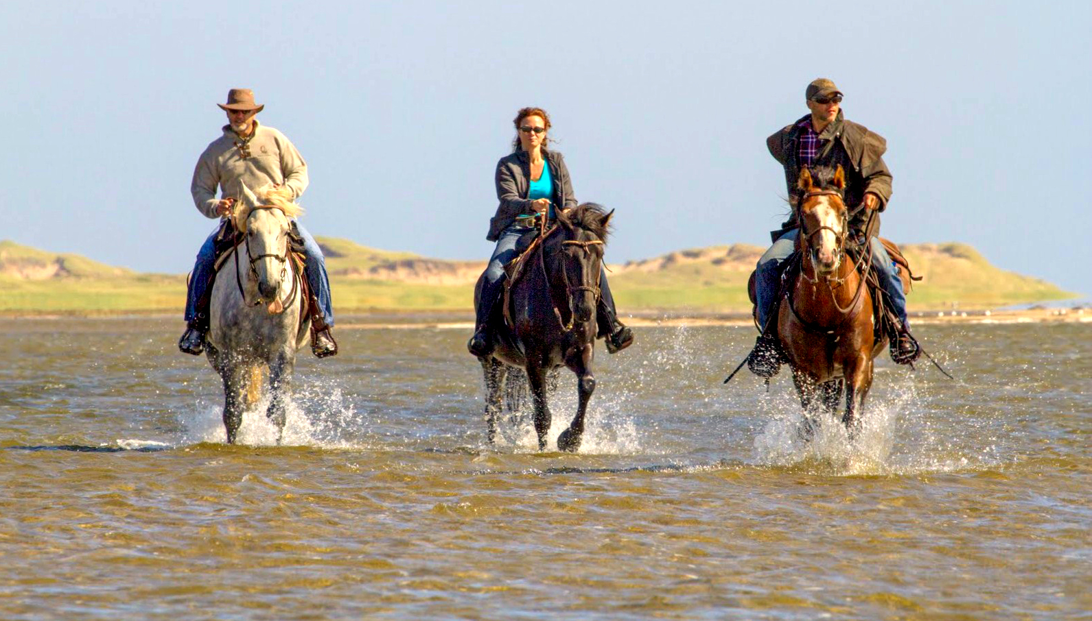 Equitation iles de la madeleine la criniere au vent lagune