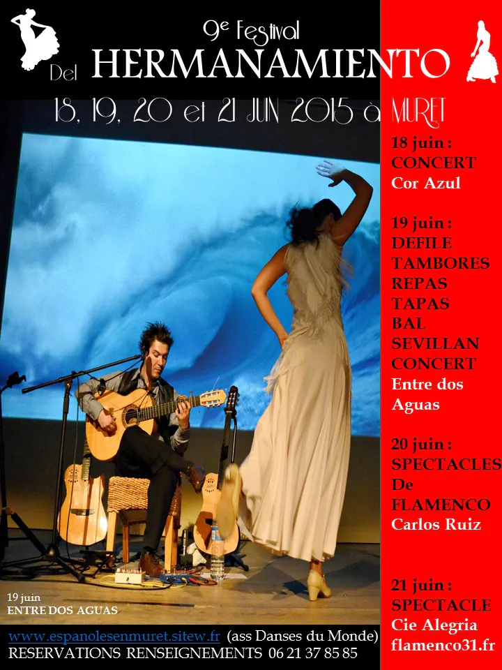 Affiche festival hermanamento 2015