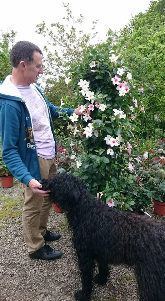 11209541 10204183236877227 7512135758908013365 n