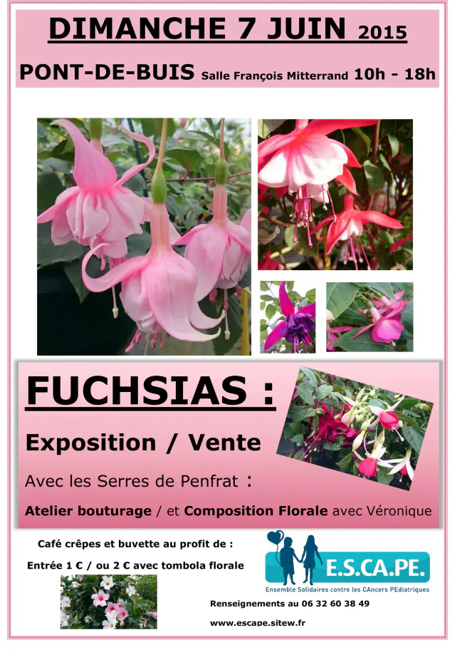 Fuschias site web