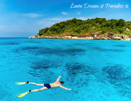 Snorkeling lantadream